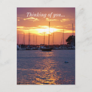 Paarse Passion Sunset Briefkaart