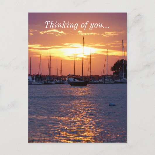Paarse Passion Sunset Briefkaart (Voorkant)
