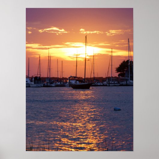 Paarse Passion Sunset Poster (Voorkant)