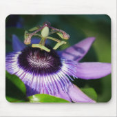 Paarse Passionfruitmousepad Muismat (Voorkant)