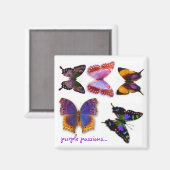Paarse Passions Vlinders Magneet van S Ambrose (Voorkant / Achterkant)