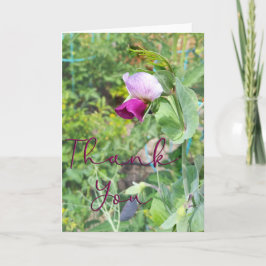 Paarse Pea Flower foto Hartelijk dank Bedankkaart