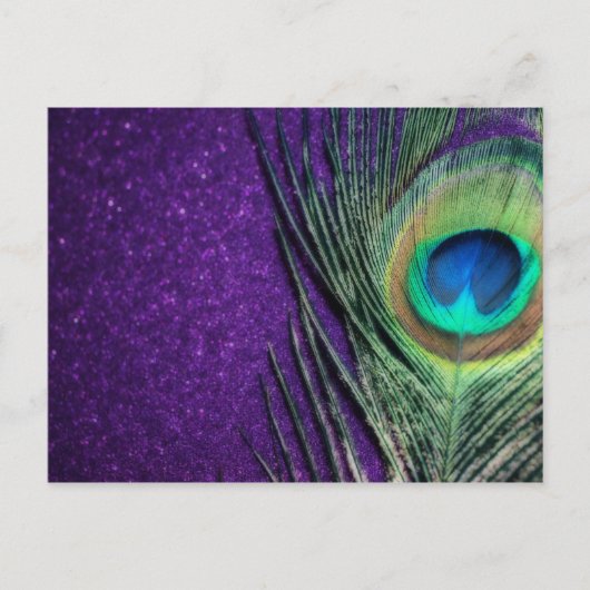 Paarse Peacock Briefkaart (Voorkant)