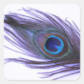 Paarse Peacock-doether Vierkante Sticker (Voorkant)
