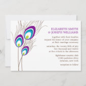 Paarse Peacock Feathers Wedding Kaart (Voorkant)
