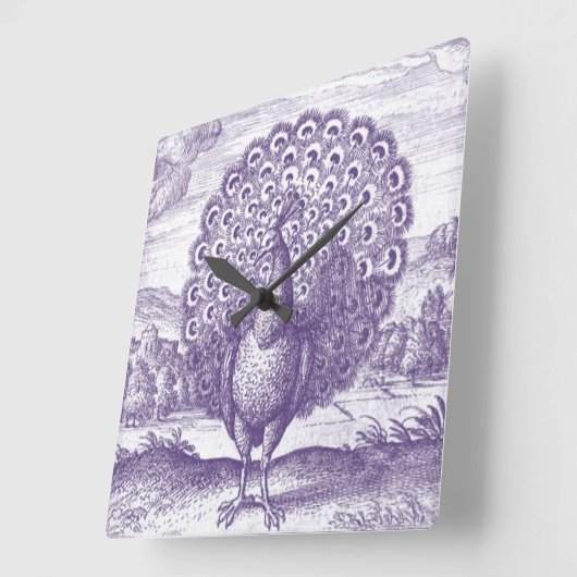  Paarse Peacock Vierkante Klok (Hoek)