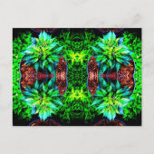 paarse pekelspiegel 4 briefkaart (Voorkant)