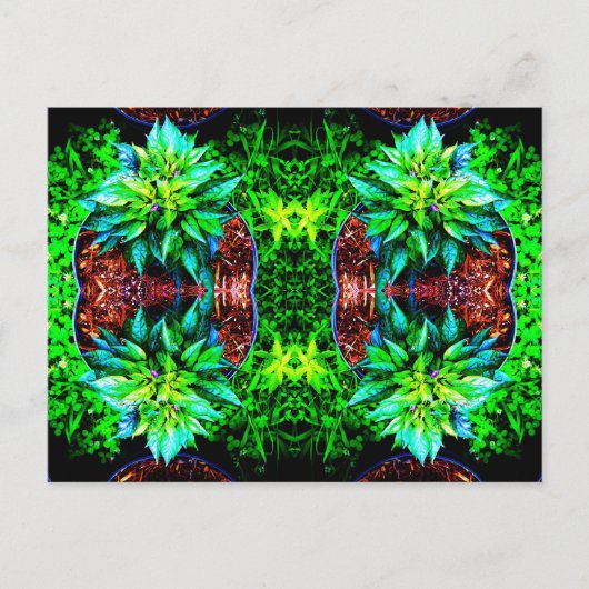 paarse pekelspiegel 4 briefkaart (Voorkant)