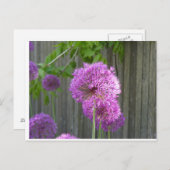 PAARSE PEONY BRIEFKAART (Voorkant / Achterkant)