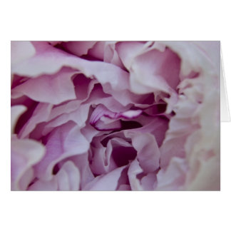 Paarse Peony-kaart