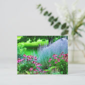 Paarse Perovskia en Echinacea Briefkaart (Staand voorkant)