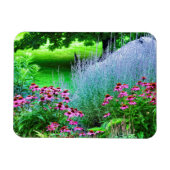 Paarse Perovskia en Echinacea Magneet (Horizontaal)