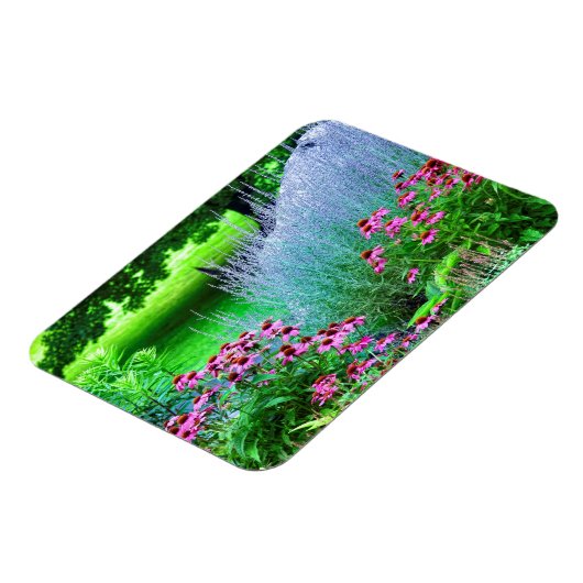 Paarse Perovskia en Echinacea Magneet (Linkerzijde)