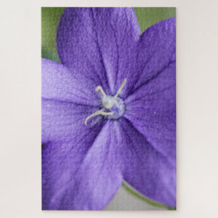 paarse Petal Puzzle - Sereniteit in elk stuk Legpuzzel