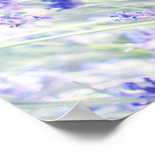 PAARSE PETALED-STROMEN POSTER (Hoek)