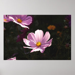 PAARSE PETALED-STROOM POSTER