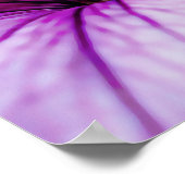 Paarse Petunia Bloem Fotografische Art Print (Hoek)