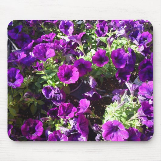 Paarse Petunia Bloemventilator Muismat (Voorkant)