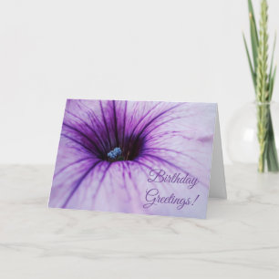 Paarse Petunia Flower Birthday Greetings Kaart