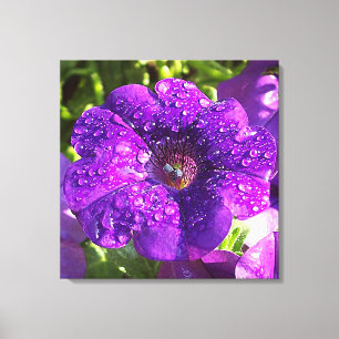 Paarse Petunia in een Rain Shower Canvas