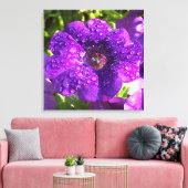 Paarse Petunia in een Rain Shower Canvas Afdruk (Insitu (Woonkamer))