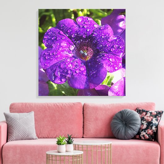 Paarse Petunia in een Rain Shower Canvas Afdruk (Insitu (Woonkamer))