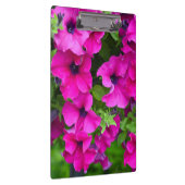 Paarse petunia klembord (Rechts)