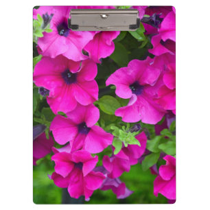 Paarse petunia klembord