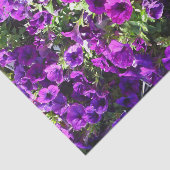 Paarse petunia Vloerweefsel Tissuepapier (Detail)