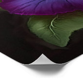 Paarse Petunias Bloemen Art Print Poster (Hoek)