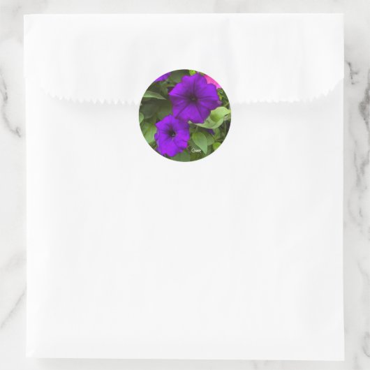 Paarse Petunias - Envelop Stickers (Tas)