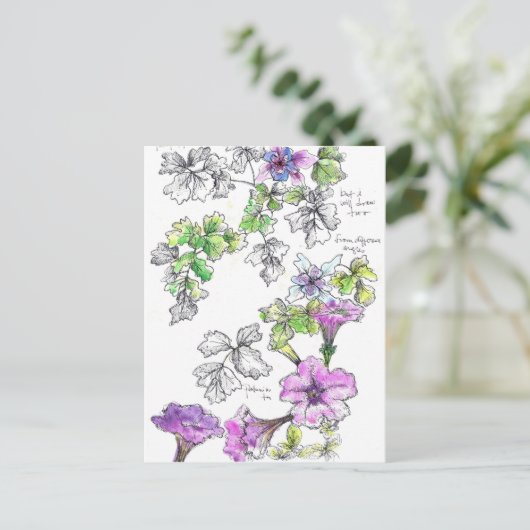 Paarse Petunias Pen en Ink Flower Sketch Briefkaart (Staand voorkant)