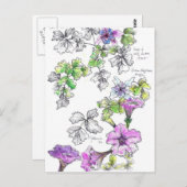 Paarse Petunias Pen en Ink Flower Sketch Briefkaart (Voorkant / Achterkant)