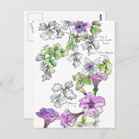 Paarse Petunias Pen en Ink Flower Sketch Briefkaart (Voorkant / Achterkant)