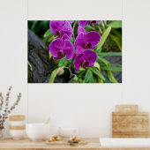 Paarse Phalaenopsis Orchid Poster (Keuken)