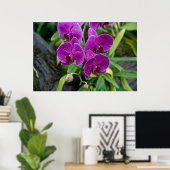 Paarse Phalaenopsis Orchid Poster (Thuiskantoor)