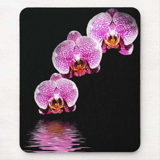 Paarse Phalaenopsis Orchids Reflecties Mousepad Muismat (Voorkant)