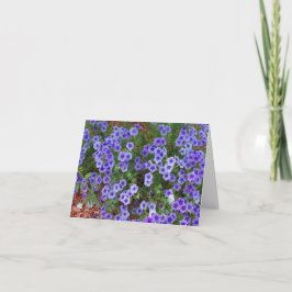 Paarse Phlox-bloemen, dank u Kaart
