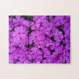 Paarse Phlox Bloemen Legpuzzel