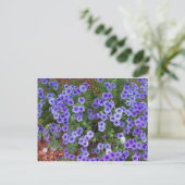 Paarse Phlox-bloemen op Briefkaart (Staand voorkant)
