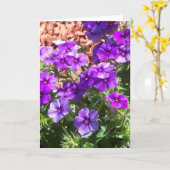 Paarse Phlox-bloemen op een blanco wenskaart Kaart (Gele Bloem)