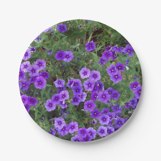 Paarse Phlox-bloemen op Papieren Bordje (Voorkant)