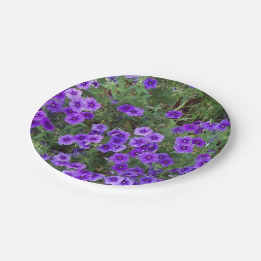 Paarse Phlox-bloemen op Papieren Bordje (Gekanteld)