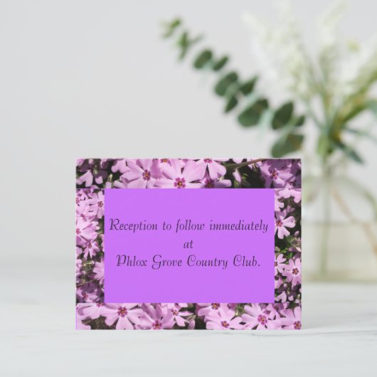 Paarse Phlox bruiloft receptie Kaart (Staand voorkant)