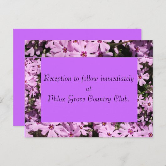 Paarse Phlox bruiloft receptie Kaart (Voorkant / Achterkant)