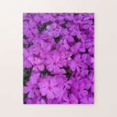 Paarse Phlox Flowers Legpuzzel (Verticaal)