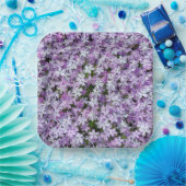 Paarse Phlox Flowers Papieren Bordje (Feest)