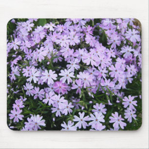 Paarse Phlox Muismat