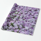 Paarse Phlox-tuin Cadeaupapier (Uitgerold)