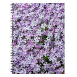 Paarse Phlox-tuin Notitieboek